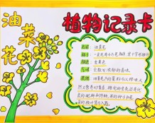 清明雨上·遇见春天——苏州叶圣陶实验小学“我们的节日”·“清明节”德育小课程研究活动